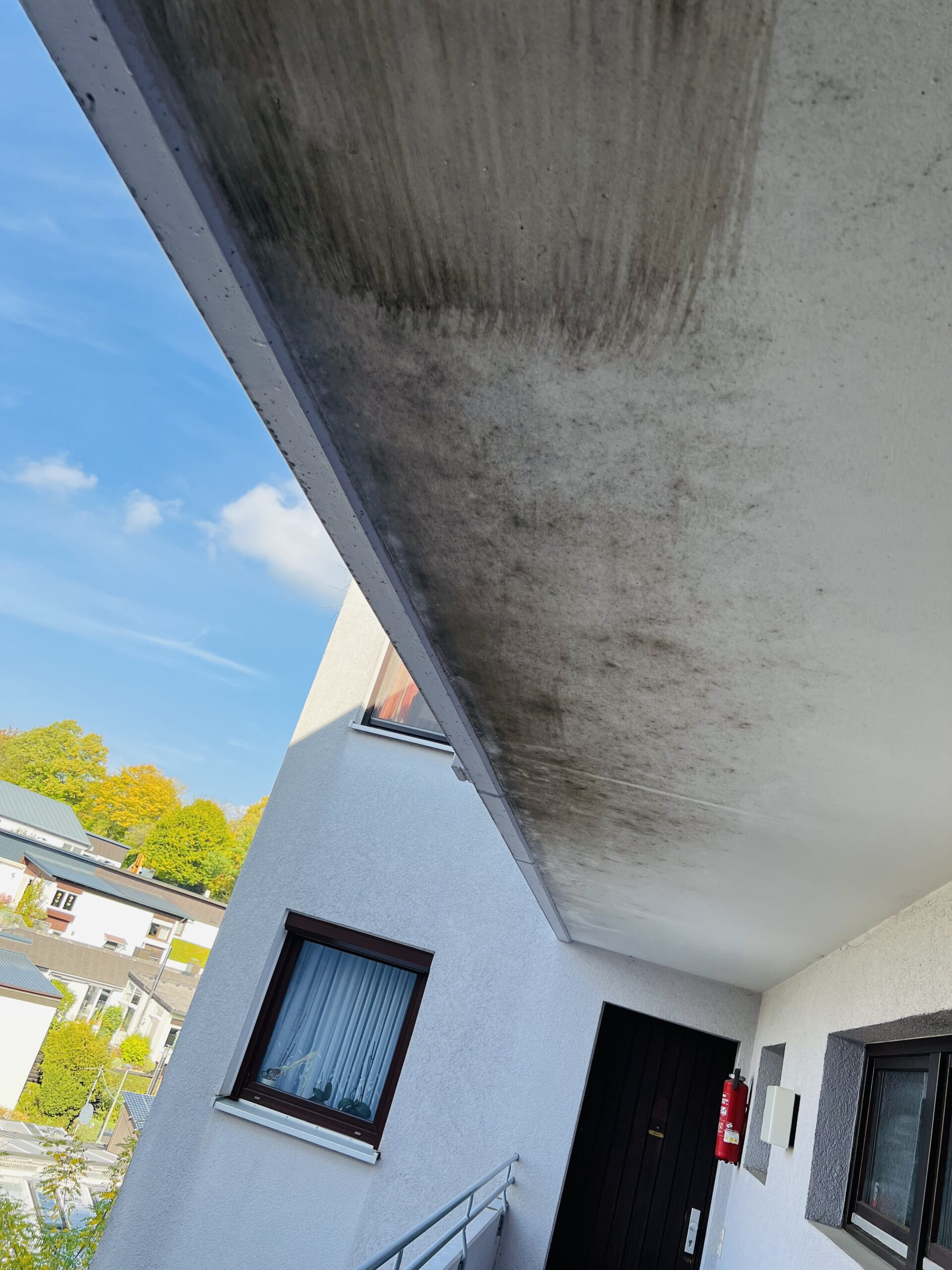 01 vorher hausgang decke gereinigt (1)